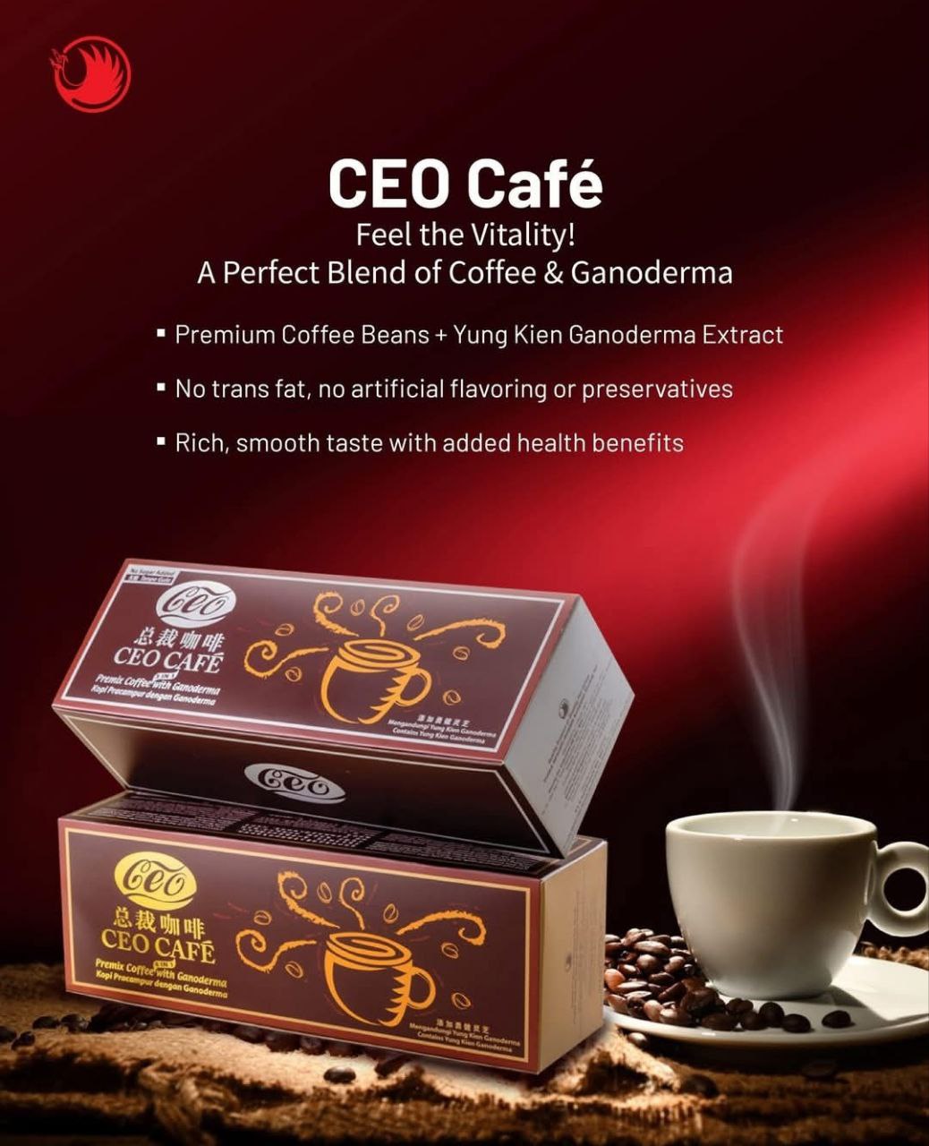 Masaalah jantung bolehkah minum kopi Lingzhi (Ceo Cafe)?